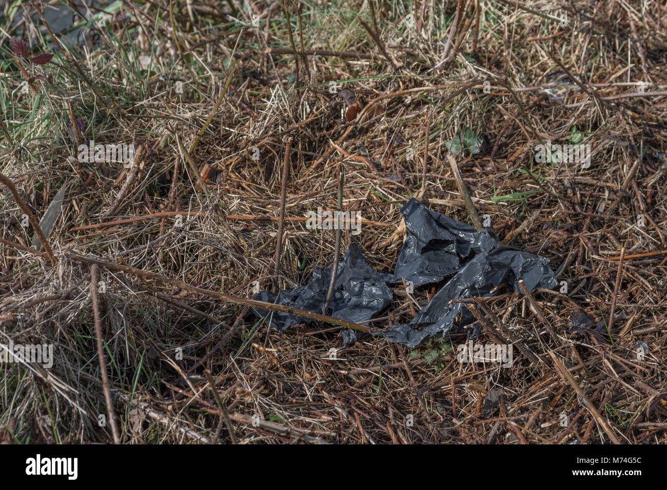 Everyday plastic items thrown into the environment as waste. Metaphor war on plastic, plastic rubbish. Stock Photo