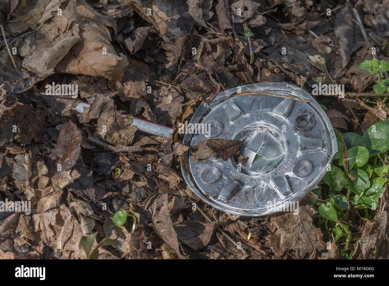 Everyday plastic items (plastic straw and cup lid) thrown into environment as waste. Metaphor war on plastic, plastic rubbish, single use plastic food Stock Photo