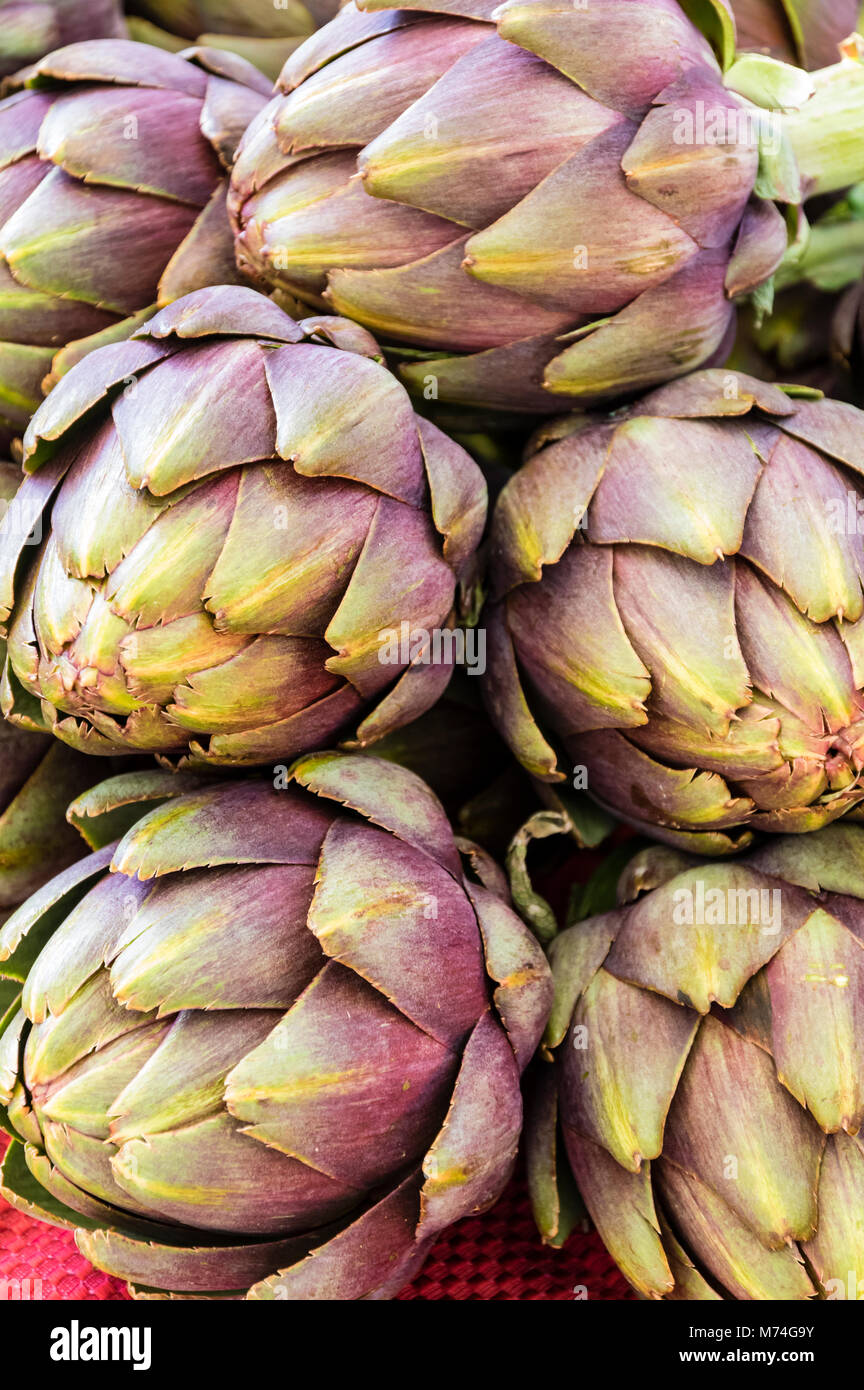 Red Artichokes On Display At The Farmers Market Portland Oregon Stock Red Artichokes On Display At The Farmers Market Portland Oregon M74G9Y