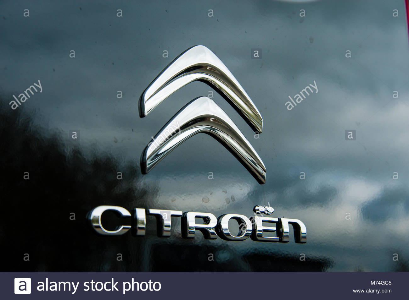 Ситроен значок