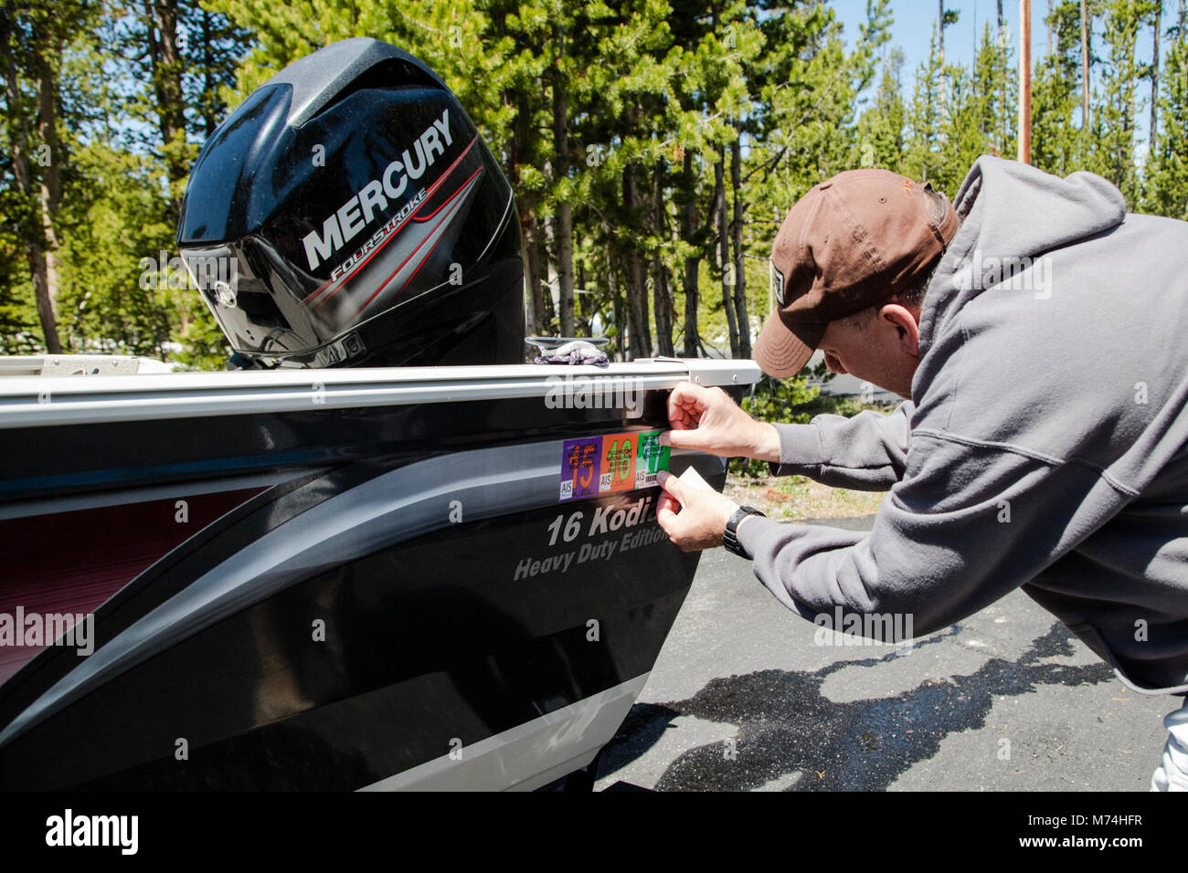 Applying a boat permit sticker Stock Photo Alamy
