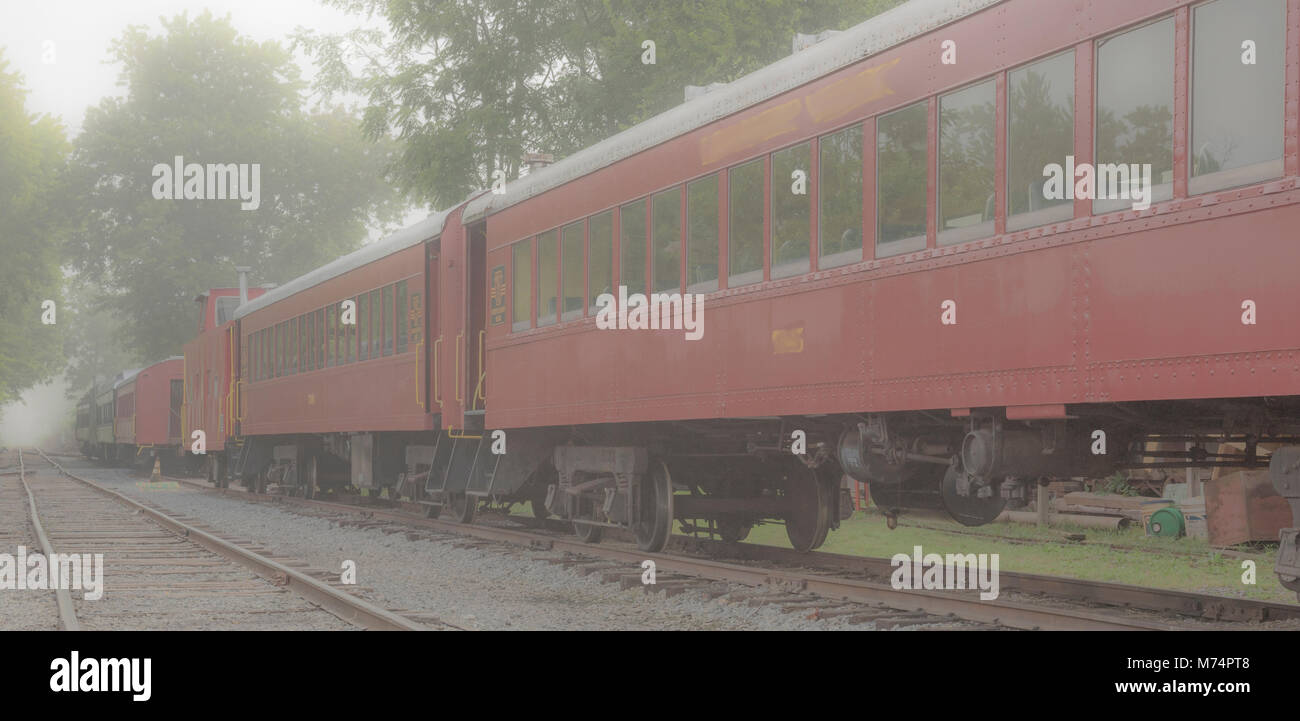 A humid foggy morning softens the looks of vintage rail passenger cars on tracks among trees in Waldersville, MD Stock Photo