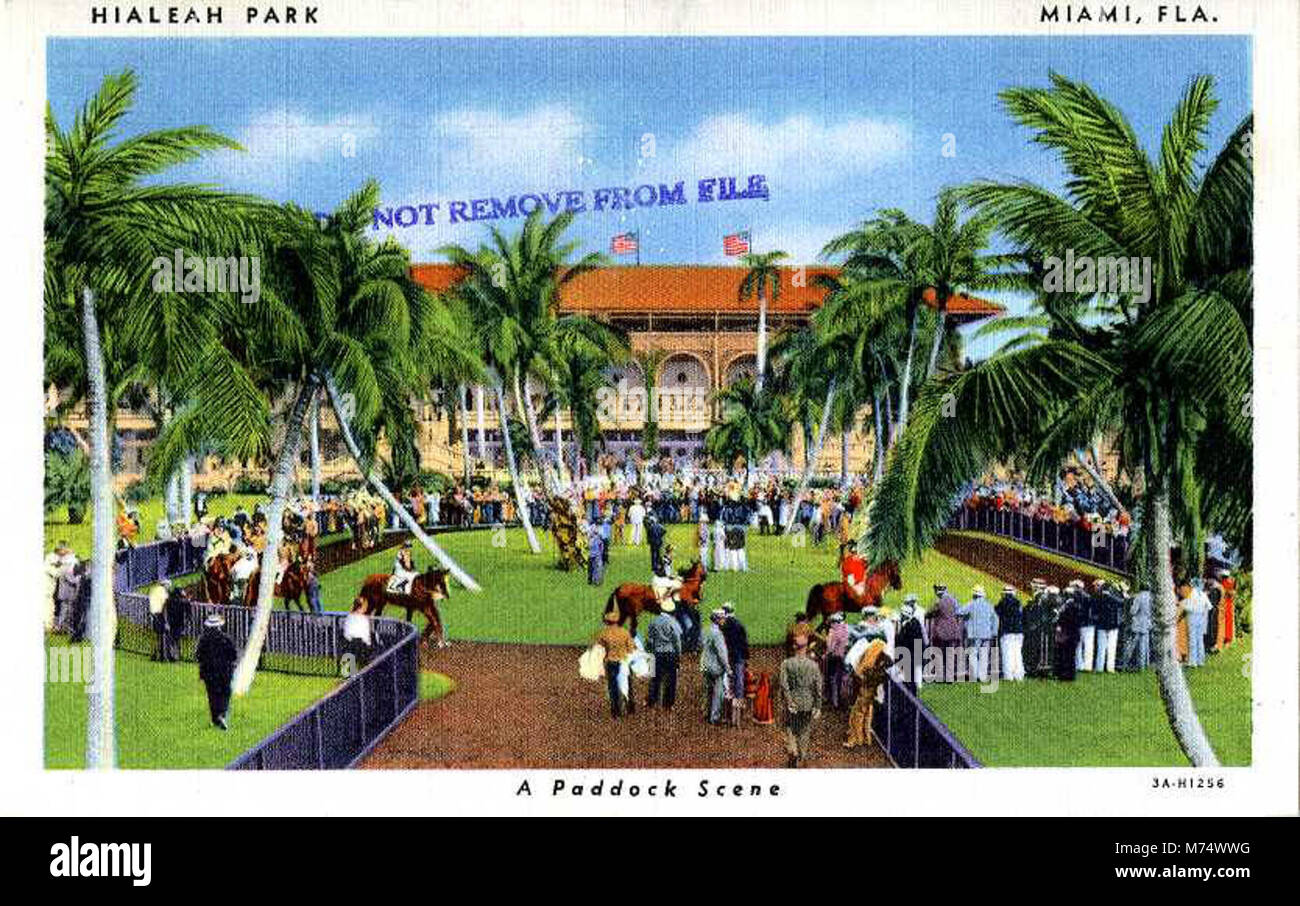 Hialeah park hires stock photography and images Alamy
