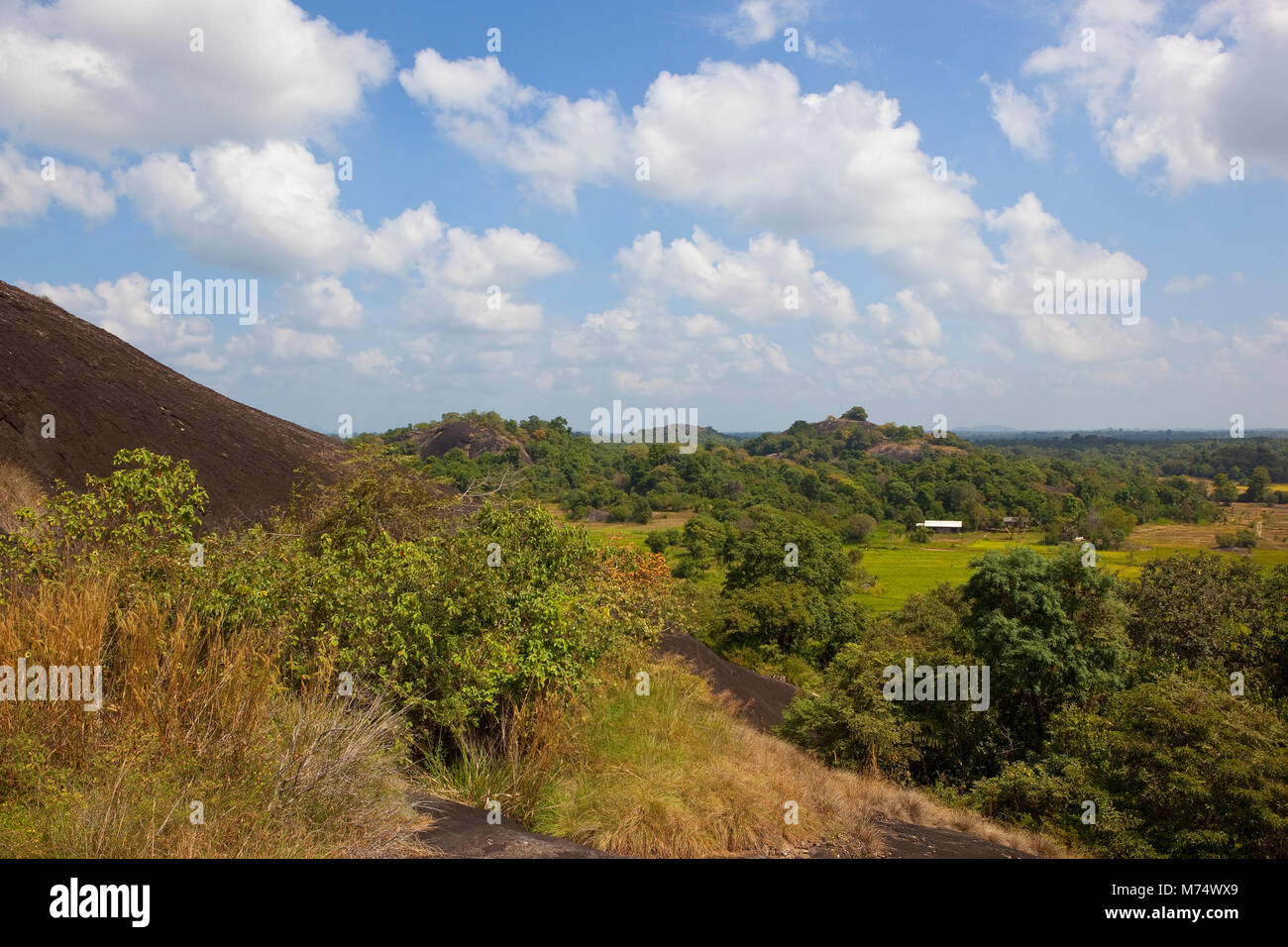 sri lankan volcanic rock in beautiful rural scenery at wasgamuwa national park under a blue sky with white fluffy clouds Stock Photo