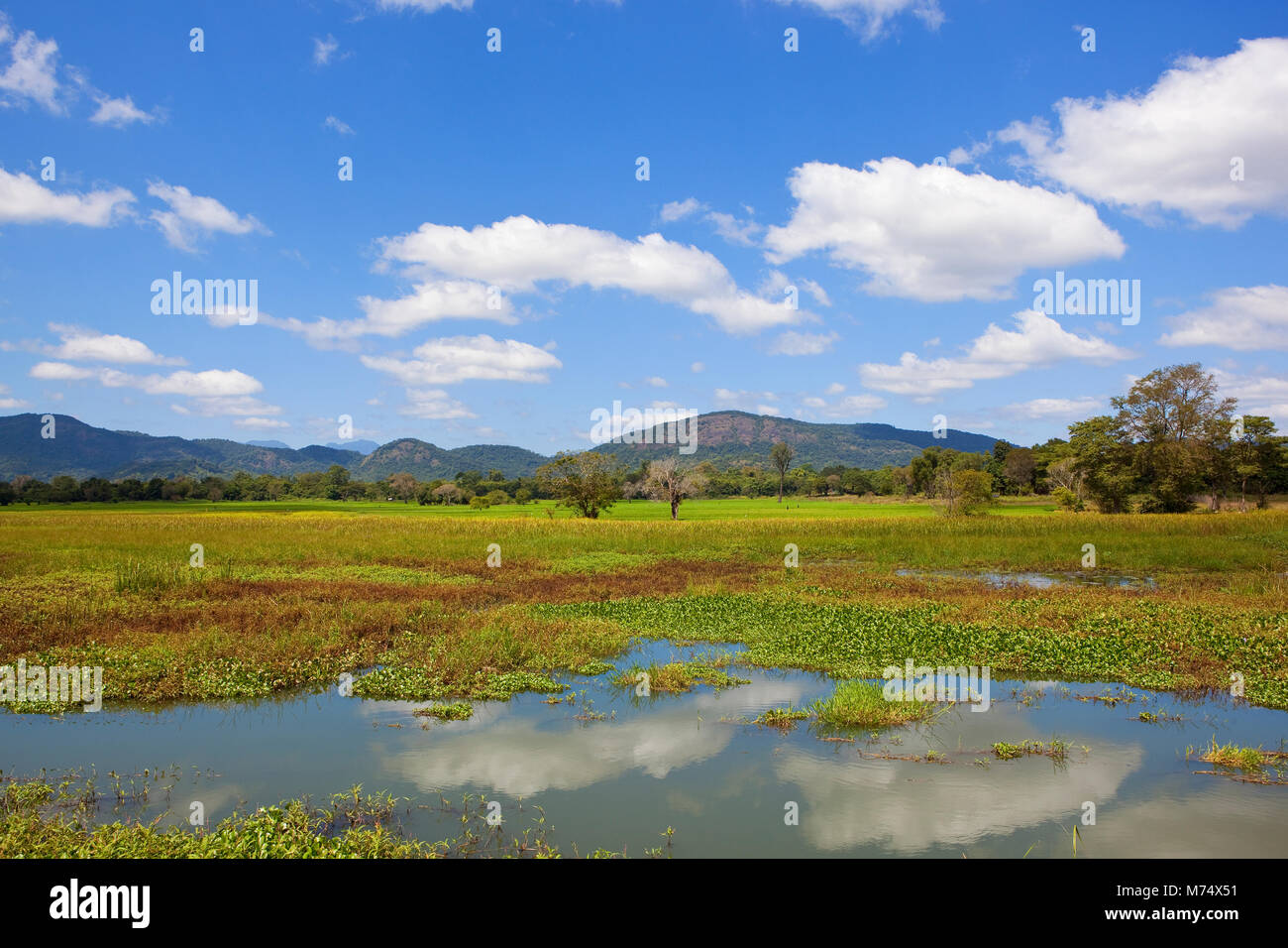 a sri lankan lake with a backdrop of scenic mountains and forest under a blue sky with white fluffy clouds Stock Photo