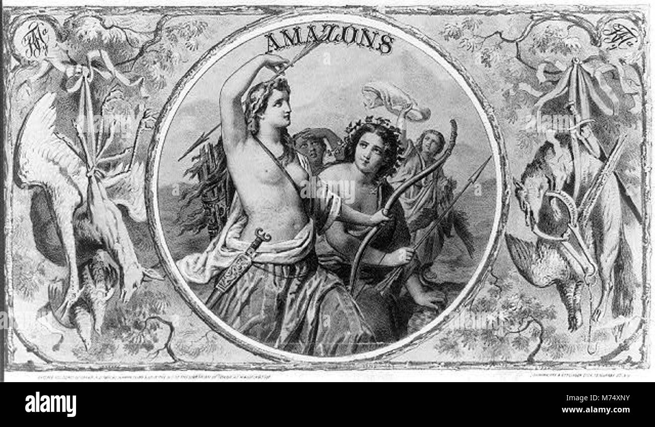 An image of the Amazons, representing the mythological women warriors ...