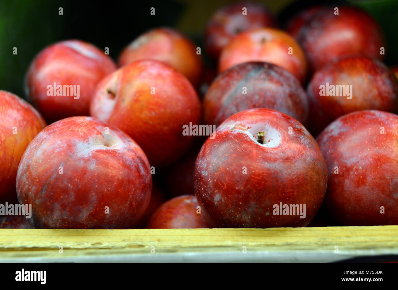 red plum in the shelf of the supermarket for sale Stock Photo - Alamy