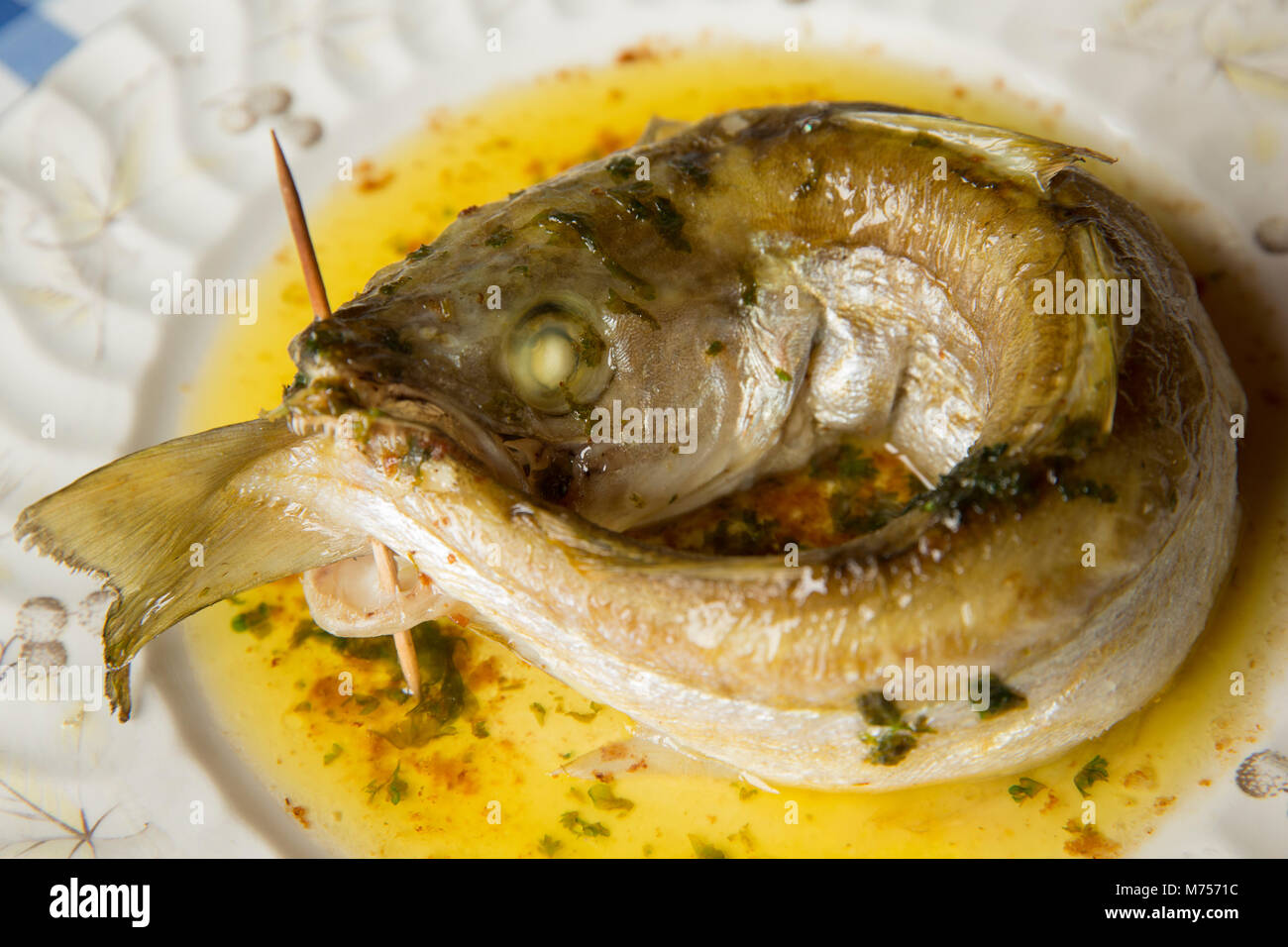 Whitingmerlangius merlangus‘chasing its tail’ roasted in olive oil