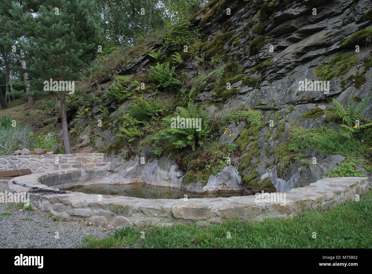 water pond in garden in background rock Stock Photo - Alamy