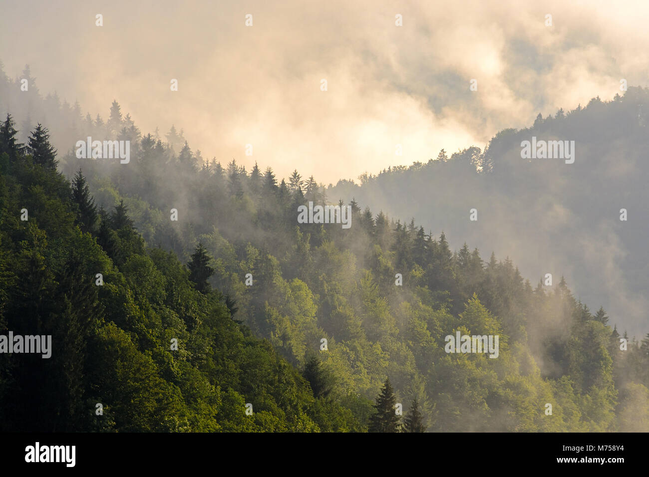 Green wooded mountain slopes, low clouds Stock Photo