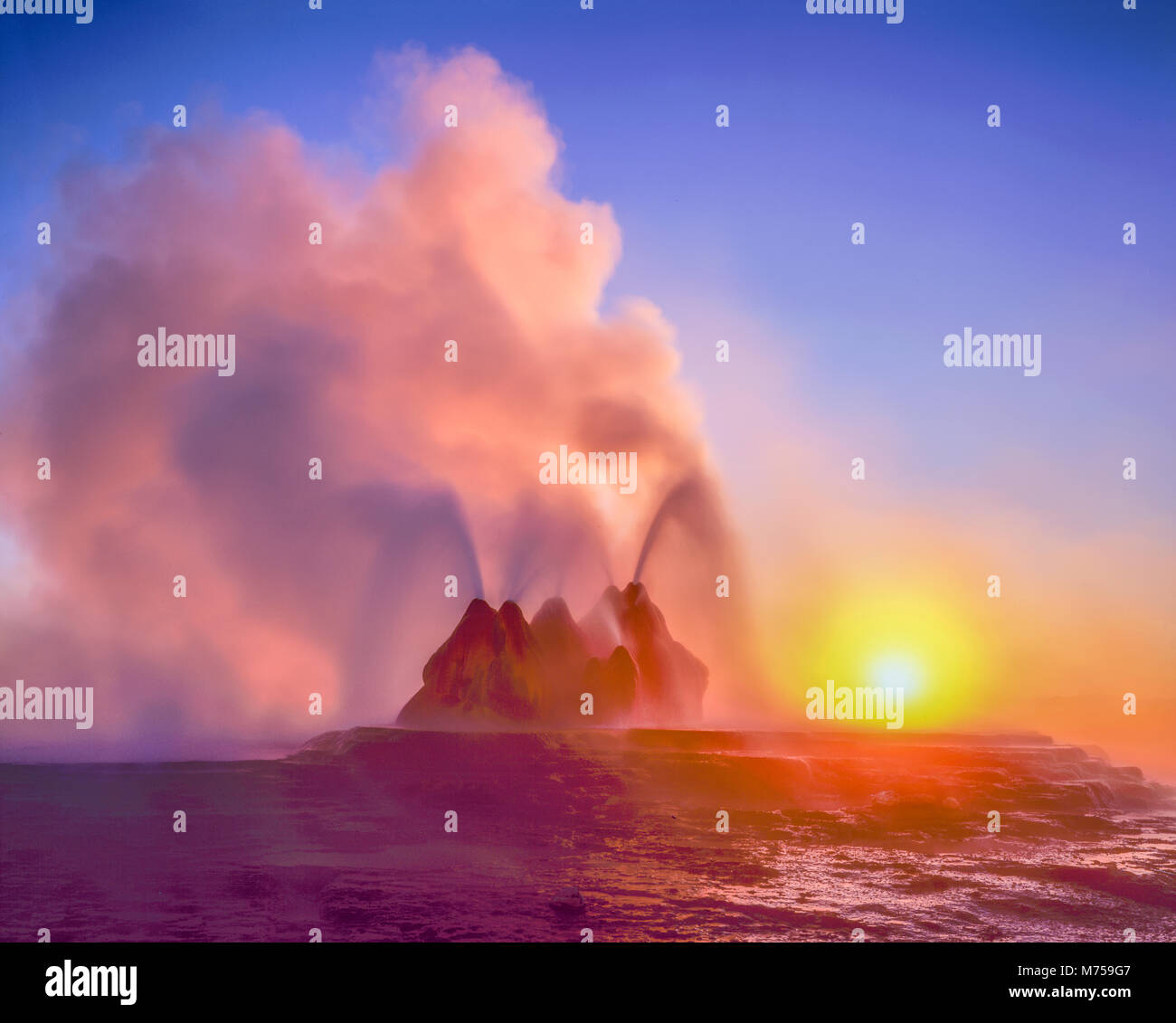 Fly Geyser at sunrise, Black Rock Desert, Nevada, Hot spring geyser on playa rim, colors from algae in hot spring water Stock Photo