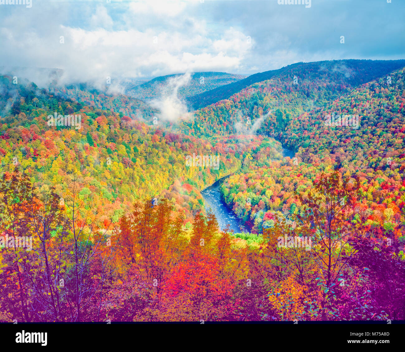 My Image 31