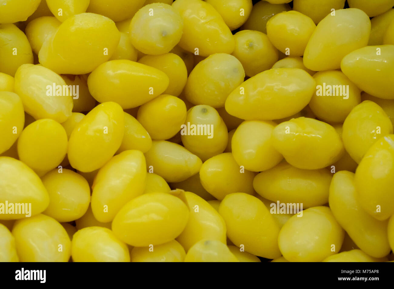 ginko nuts (Ginkgo biloba) in Chinese market, Bangkok, Thailand Stock
