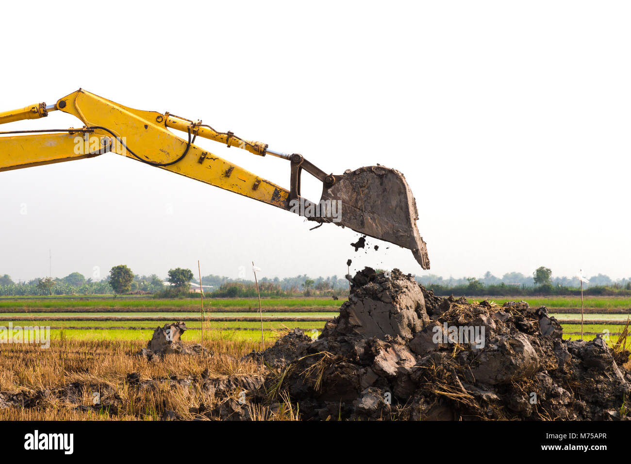 excavator backhoe arm with a bucket is working in the digging a soil to