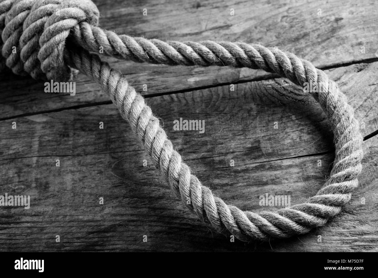 noose tie