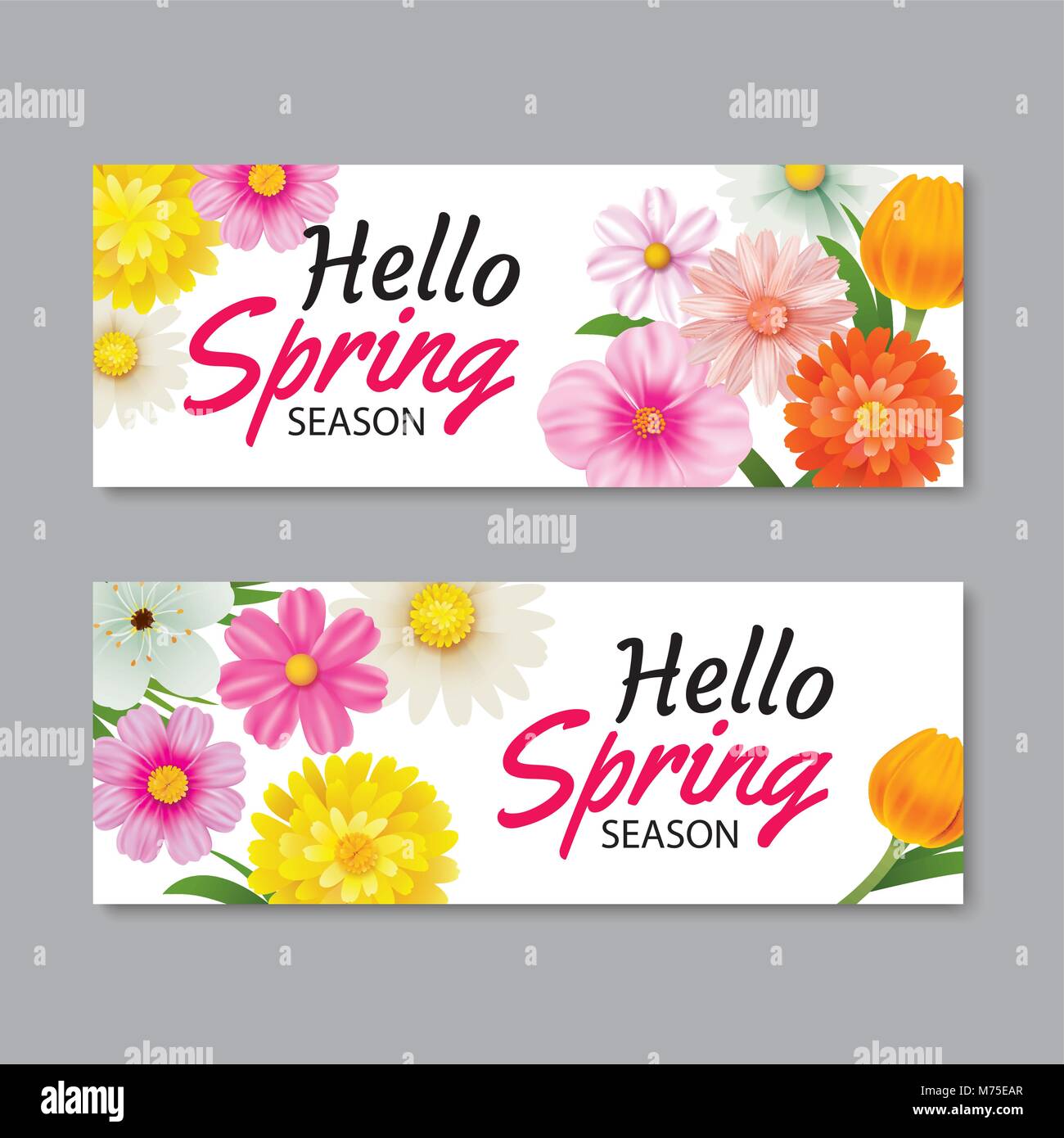 Hello spring greeting card banner template with colorful flower.Can be use voucher, wallpaper,flyers, invitation, posters, brochure, coupon discount. Stock Vector