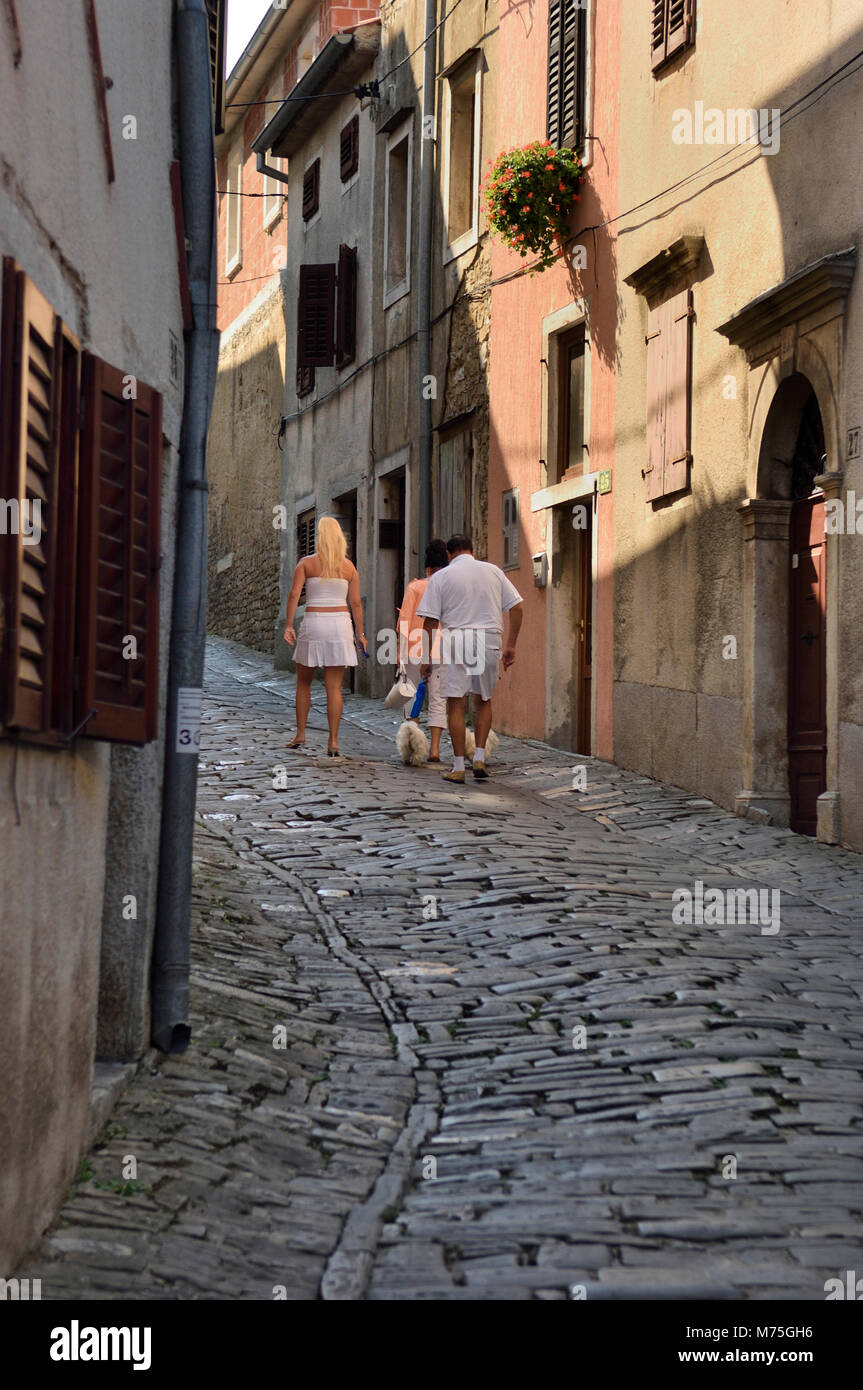 Motovun, central Istria, Croatia Stock Photo