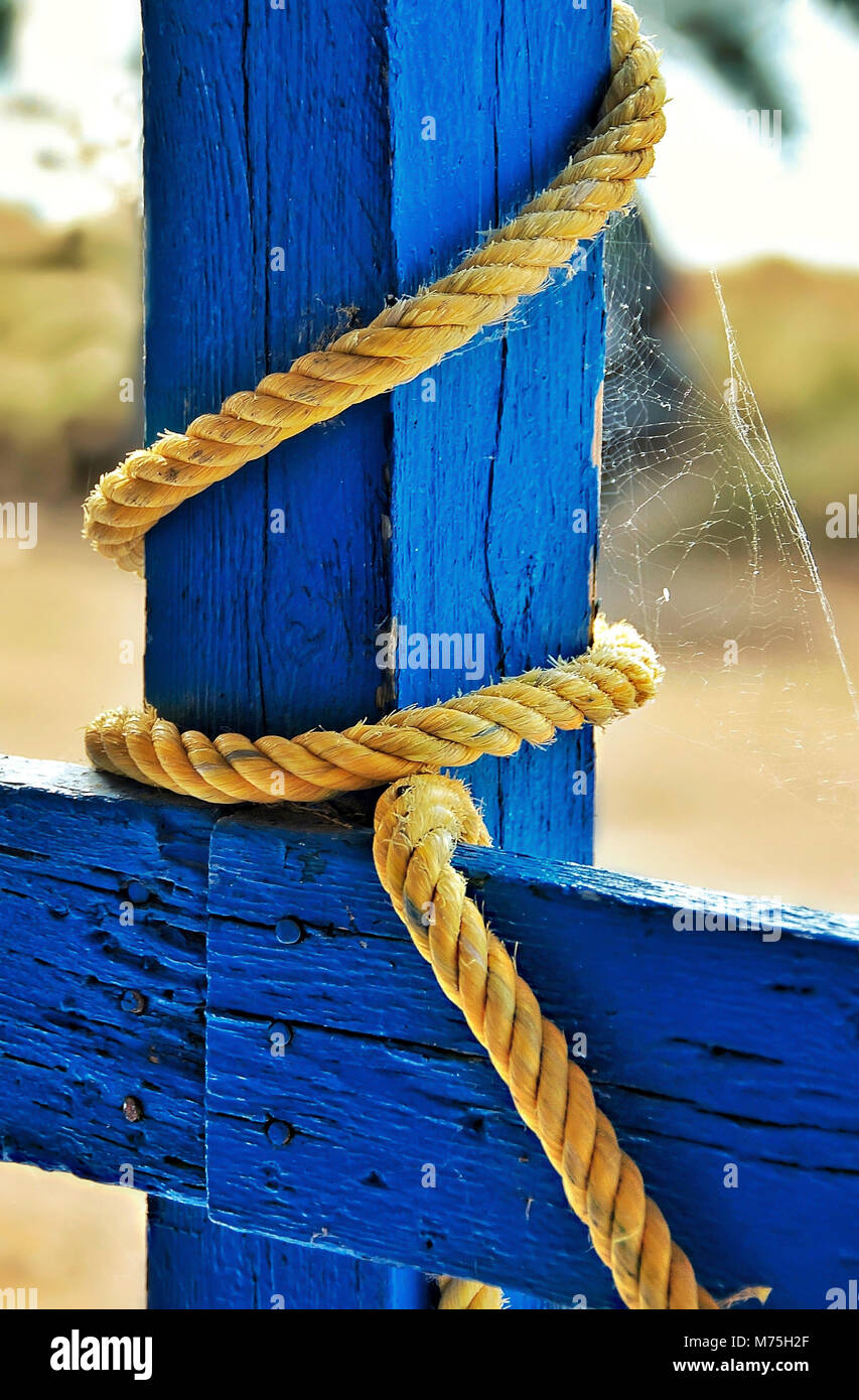 Hanging Yellow Ropes Thick jute yellow rope hanging from blue painted wooden planks Stock ...