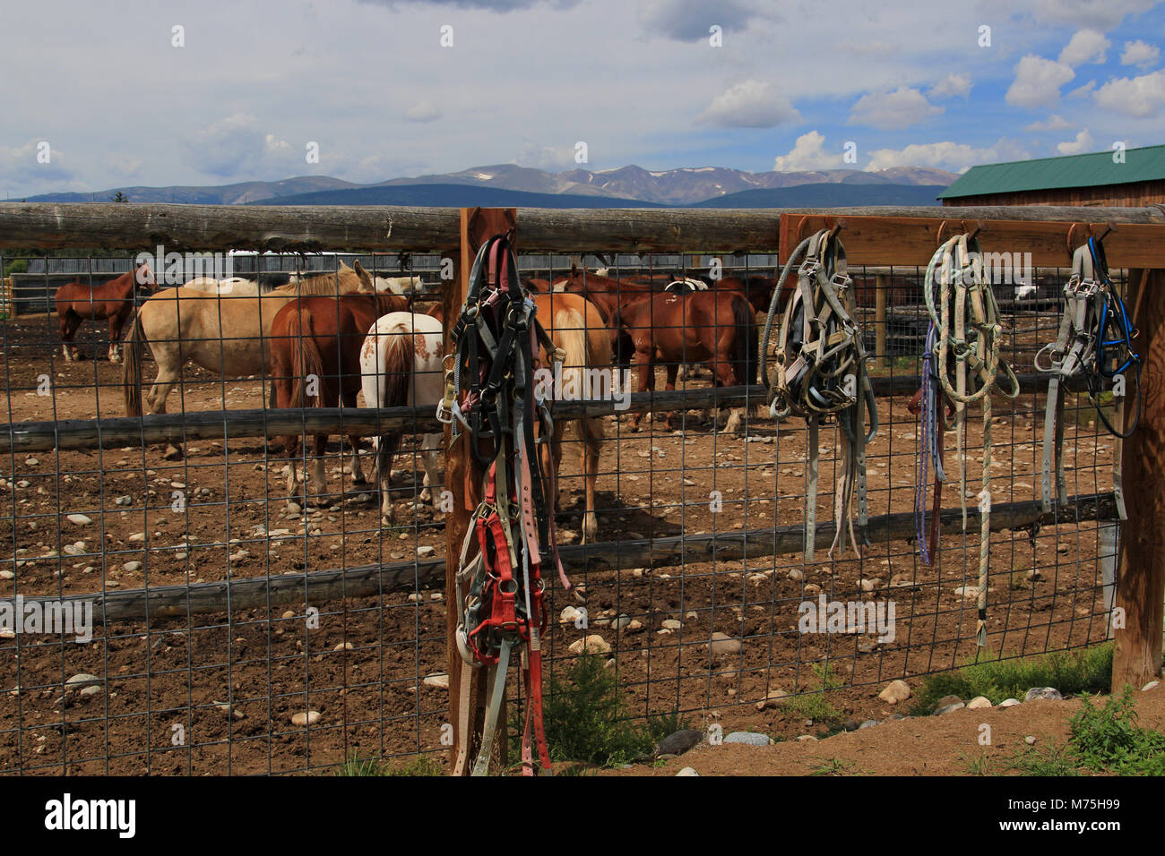 Working Horse ranch corral Stock Photo - Alamy
