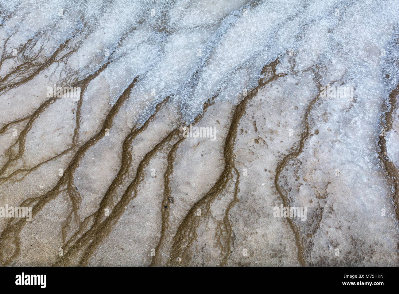 Water keeps bacteria alive in narrow channels which can been seen as