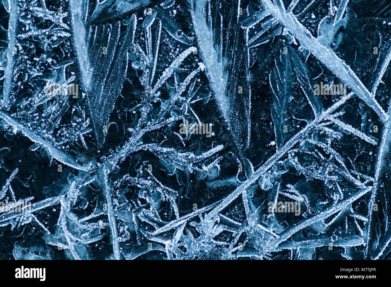 While inside its nice and warm, outside these beautiful ice structures ...