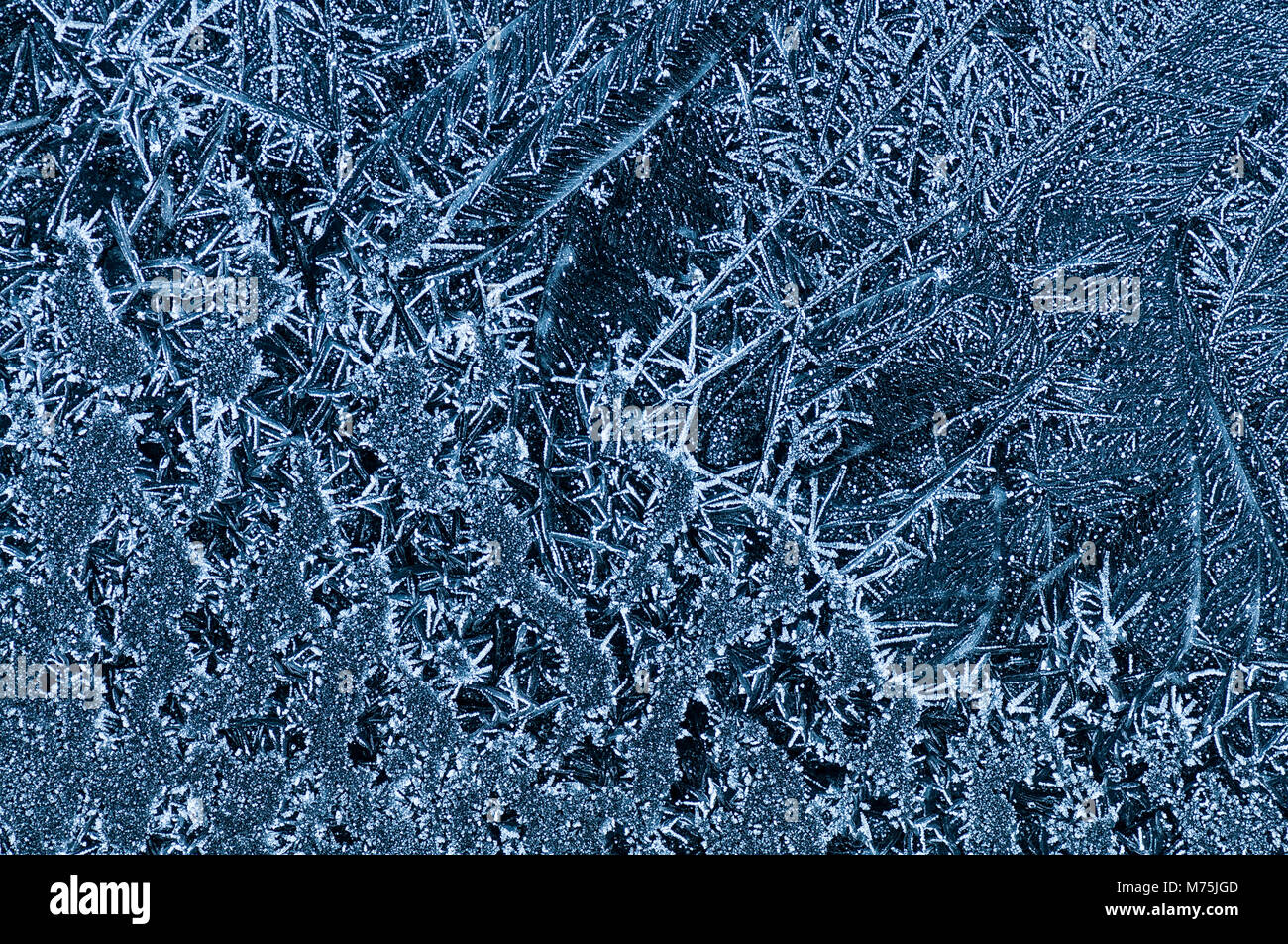 While inside its nice and warm, outside these beautiful ice structures ...