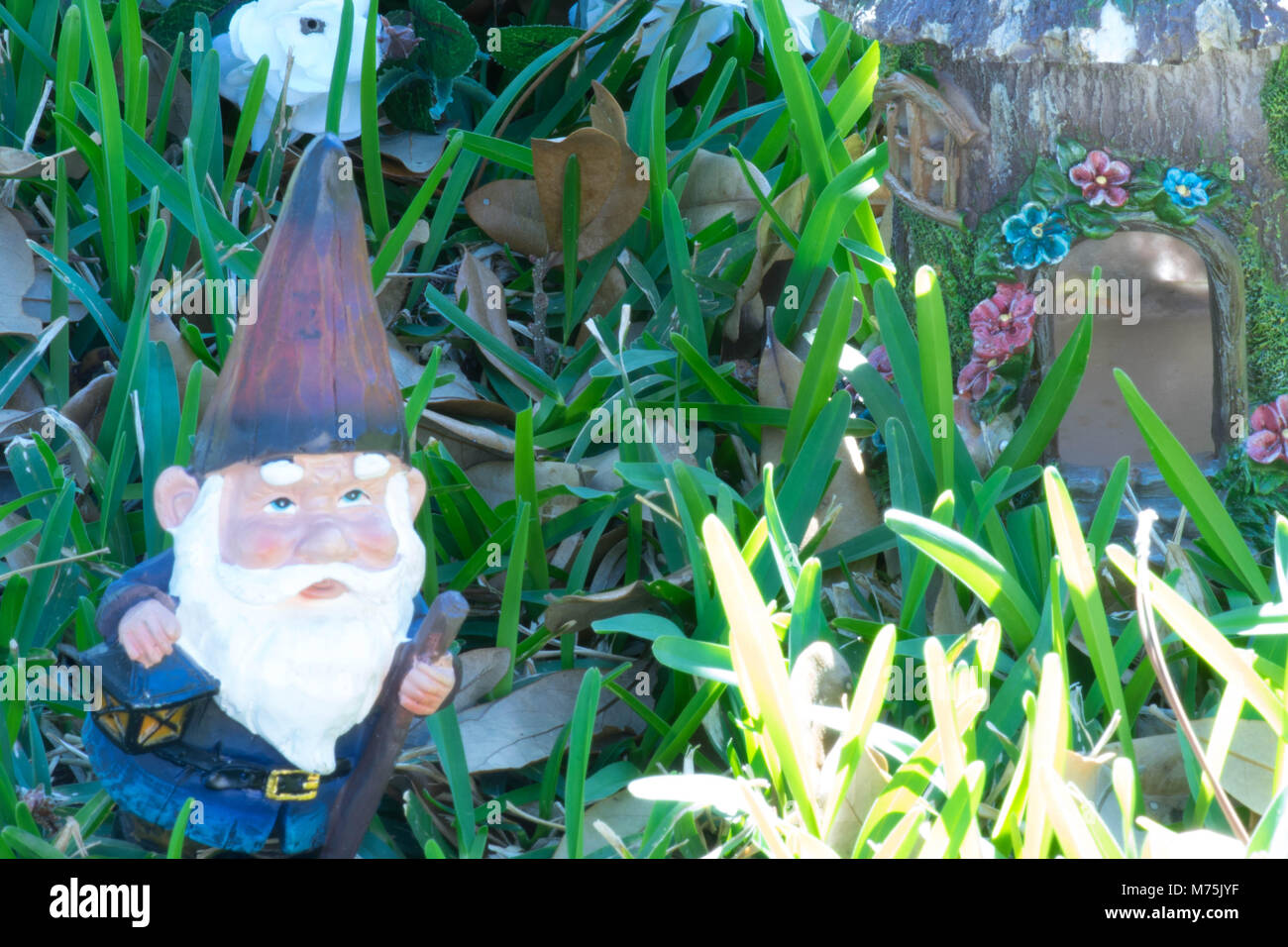 Small Gnome coloring page Download, Print or Color Online for Free