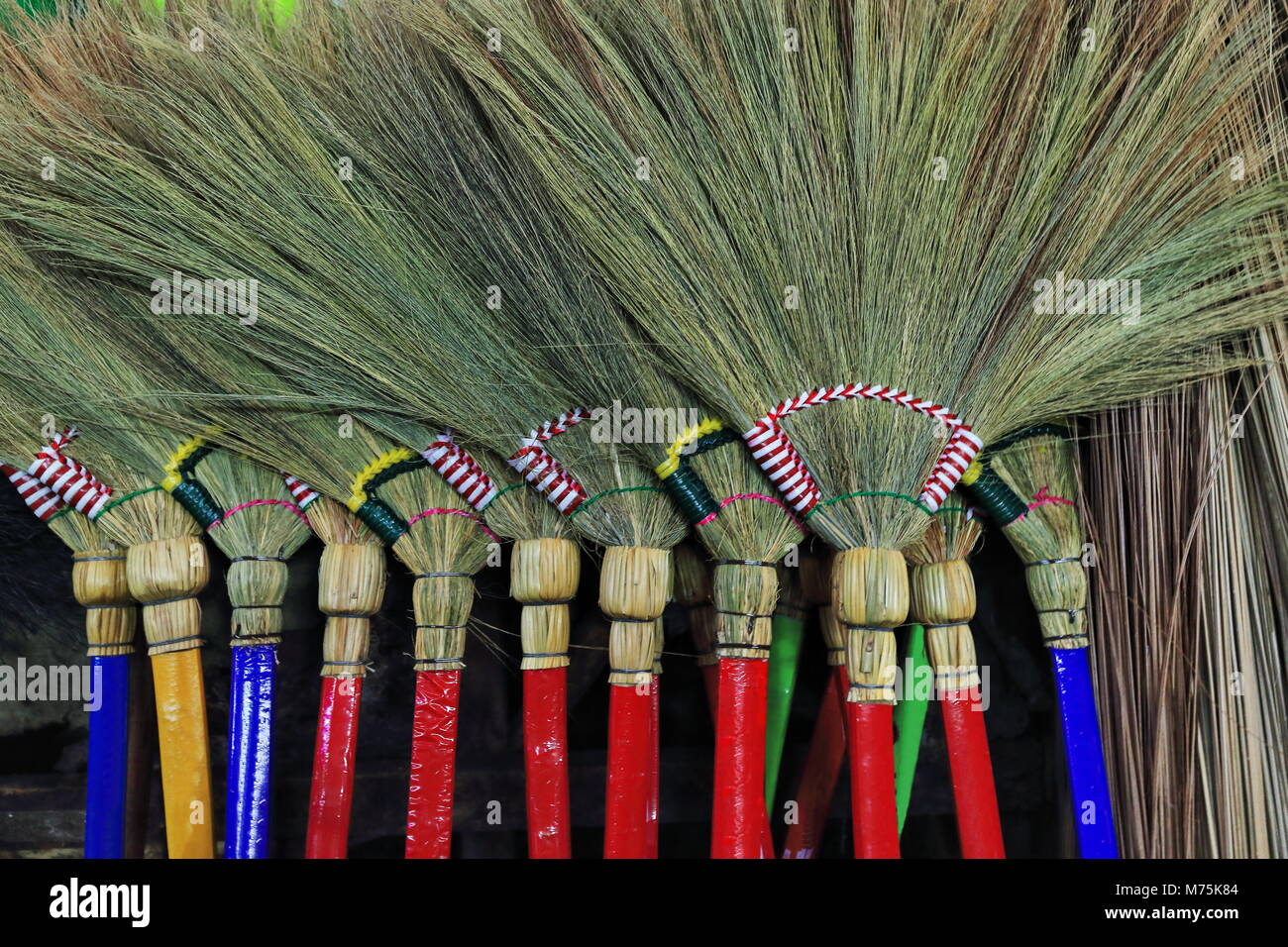 Artisanal hand made modern tiger grass or walis tambosoft brooms with colored handles standing