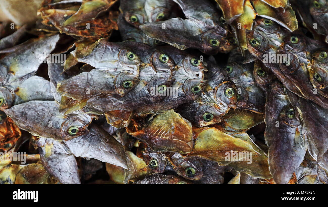 Danggit High Resolution Stock Photography And Images Alamy