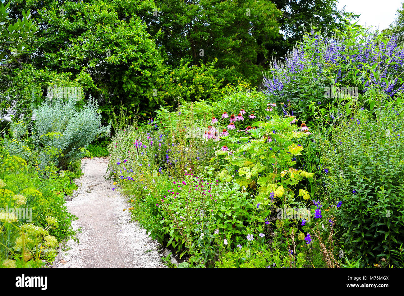 Colourful view of a pretty cottage garden, Richmond, Virginia in