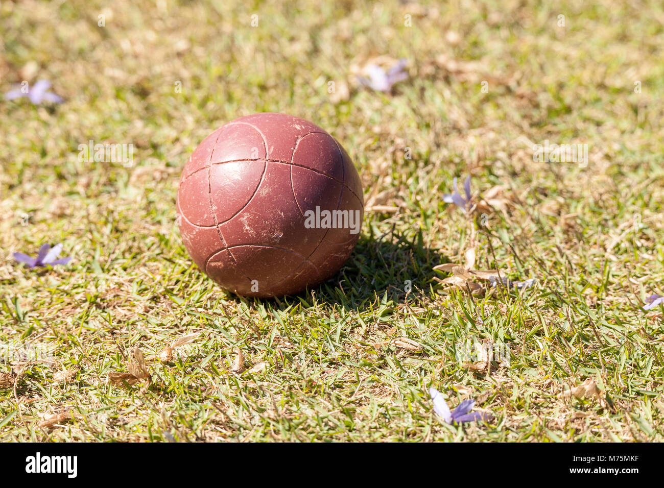 Bocce ball on the green grass of an open field ready for sport in