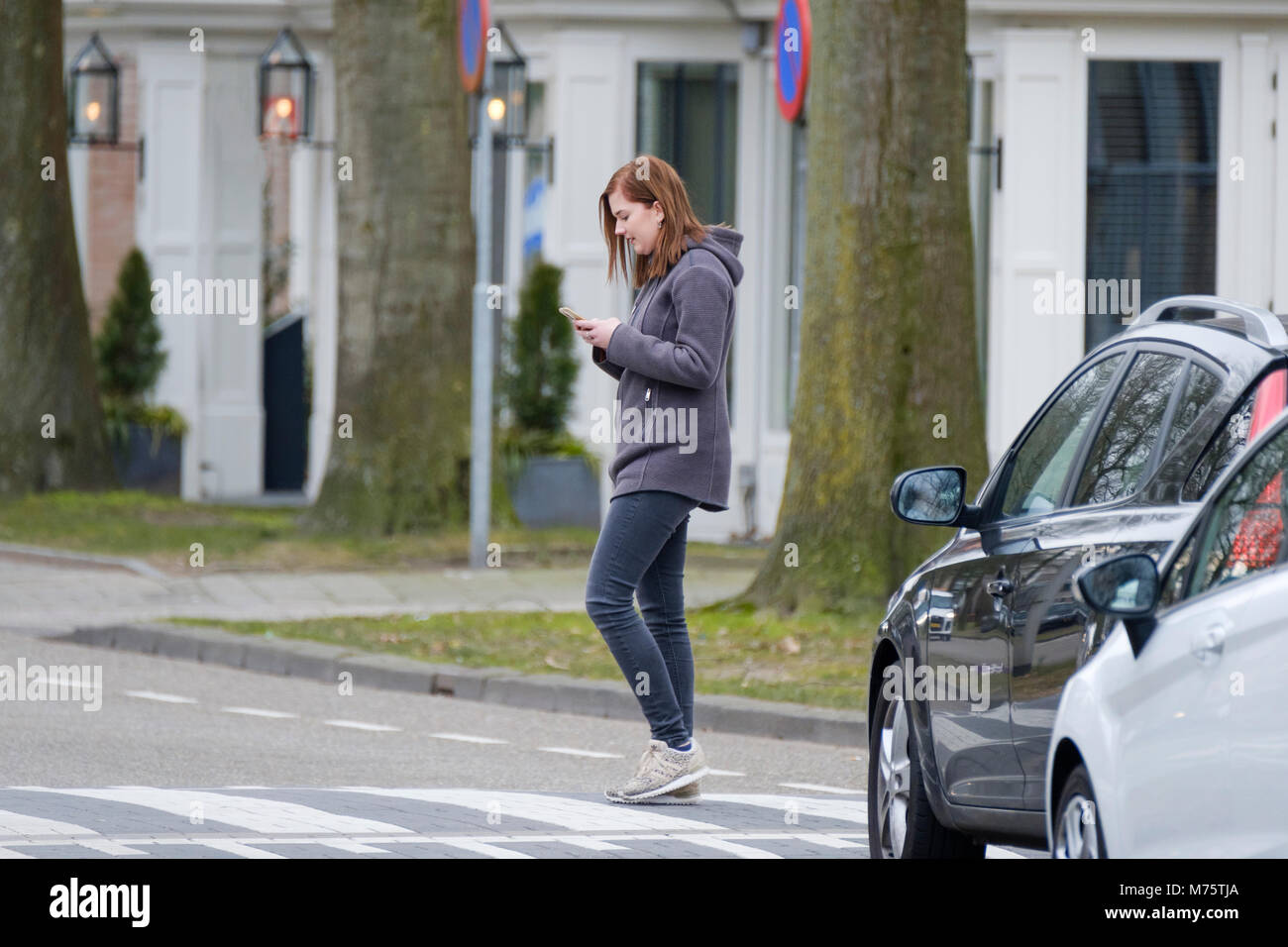young woman walks on the crosswalk and checks her smartphone for messages and does not pay any attention to traffic. Stock Photo