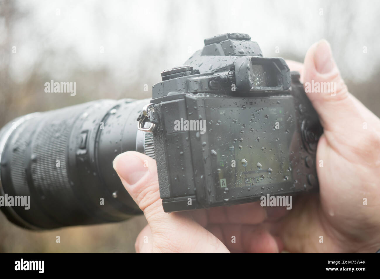 A photographer with a camera in the rain Stock Photo Alamy