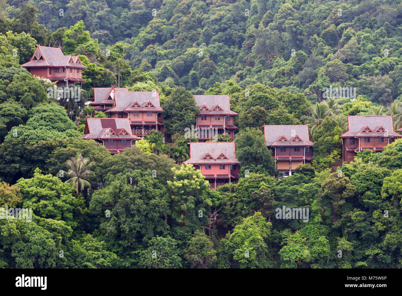 Countryside houses on stilts on mountain slope in the green forest