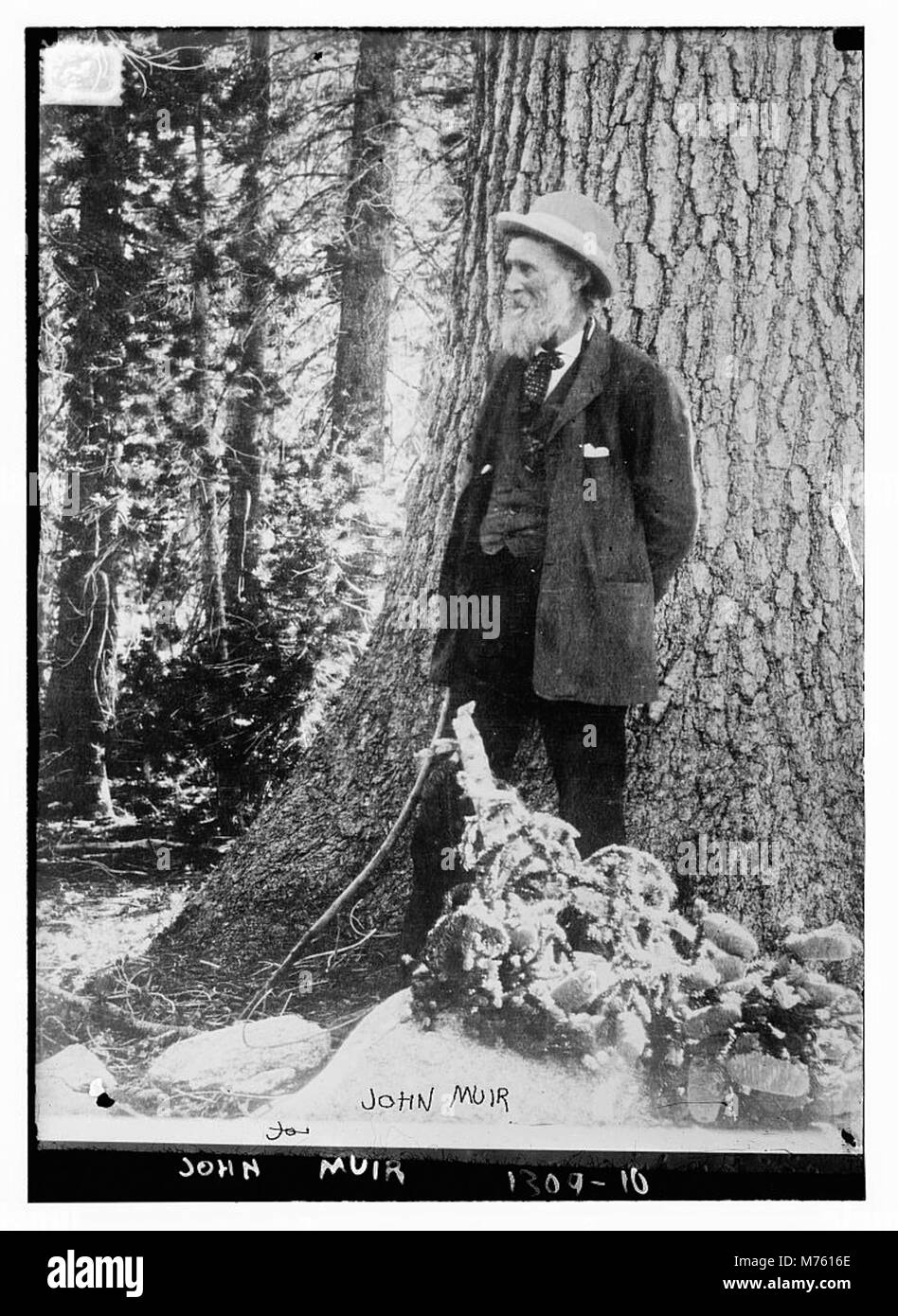 John Muir LCCN2014686853 Stock Photo Alamy