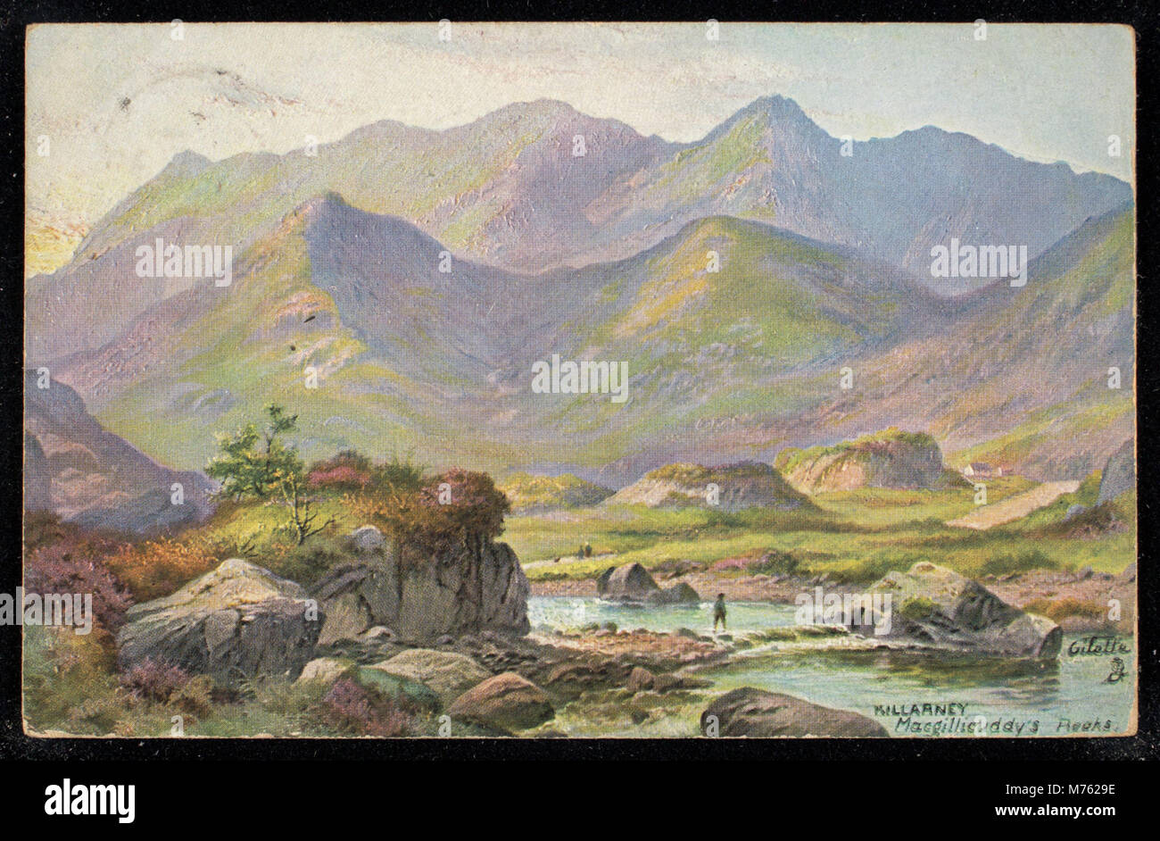 A scenic view of the Macgillicuddy's Reeks, the highest mountain range ...