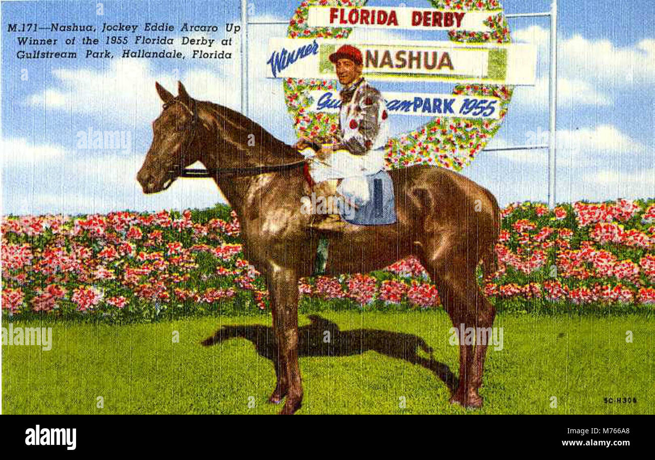 Jockey Eddie Arcaro riding M171, winner of the 1955 Florida Derby at Gulfstream Park, one of the major horse racing events in the U.S. Stock Photo