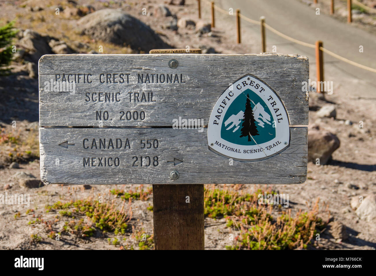 Sign for the Pacific Crest Trail as it passes through Mt Hood National