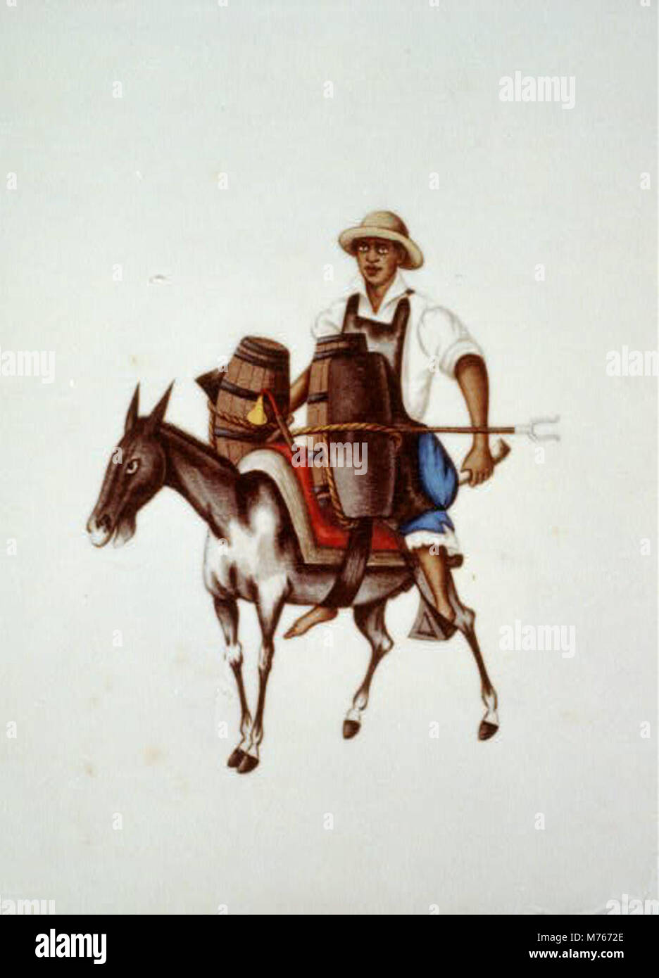 A photograph capturing a man riding a burro and transporting barrels ...