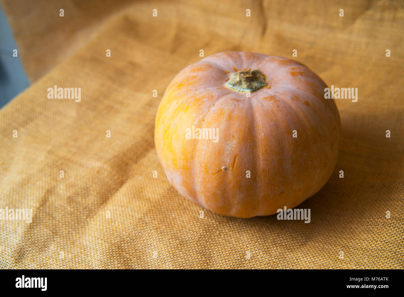 Pumpkin. Stock Photo