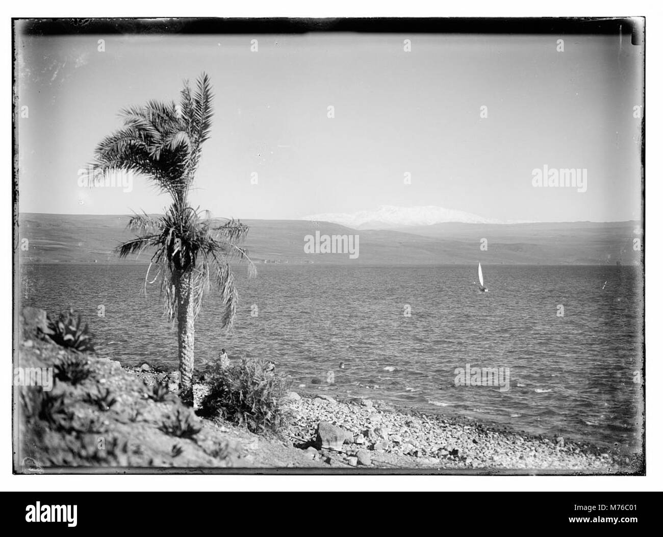 Mt. Hermon from Sea of Galilee LOC matpc.08920 Stock Photo Alamy