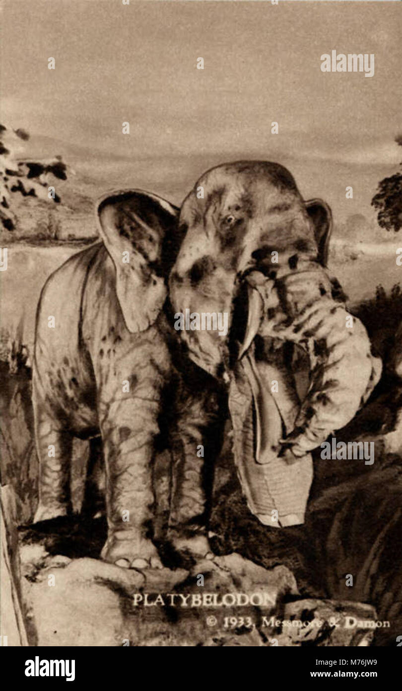 Platybelodon, Shovel Jawed Elephant (NBY 415207 Stock Photo Alamy