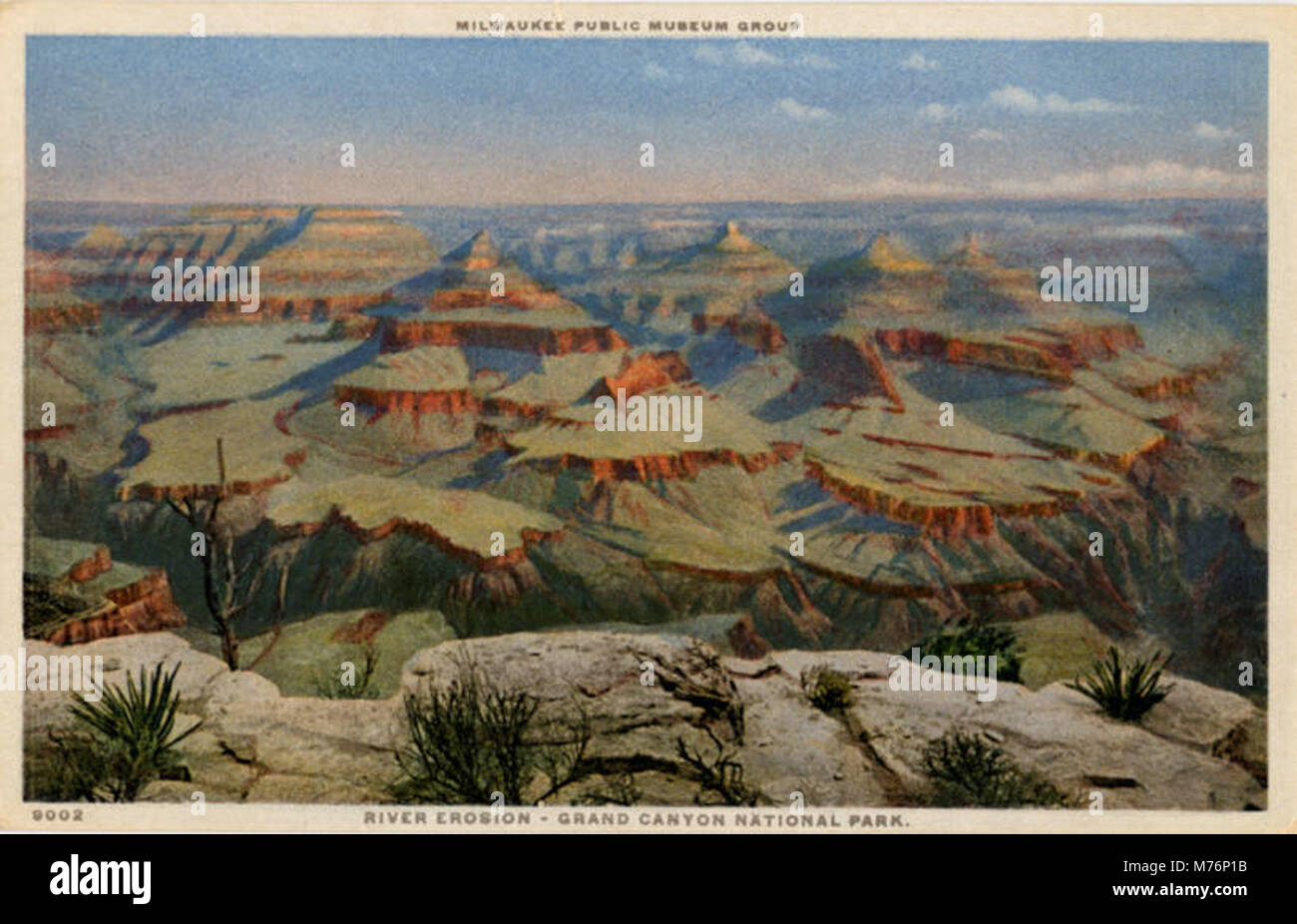 River Erosion, Grand Canyon, Milwaukee Public Museum (NBY 21667 Stock
