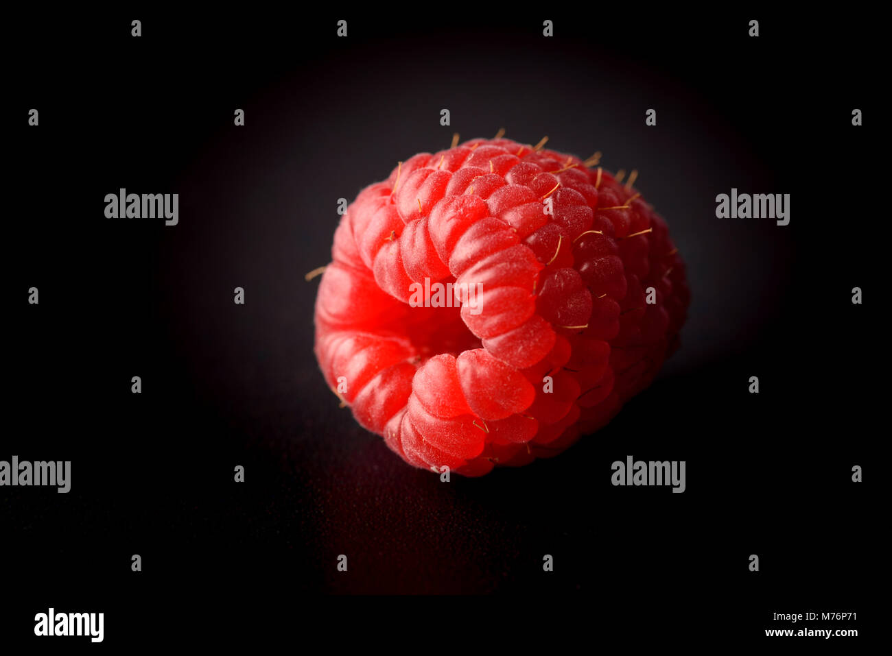 One fresh raspberry closeup on a black background isolated Stock Photo ...