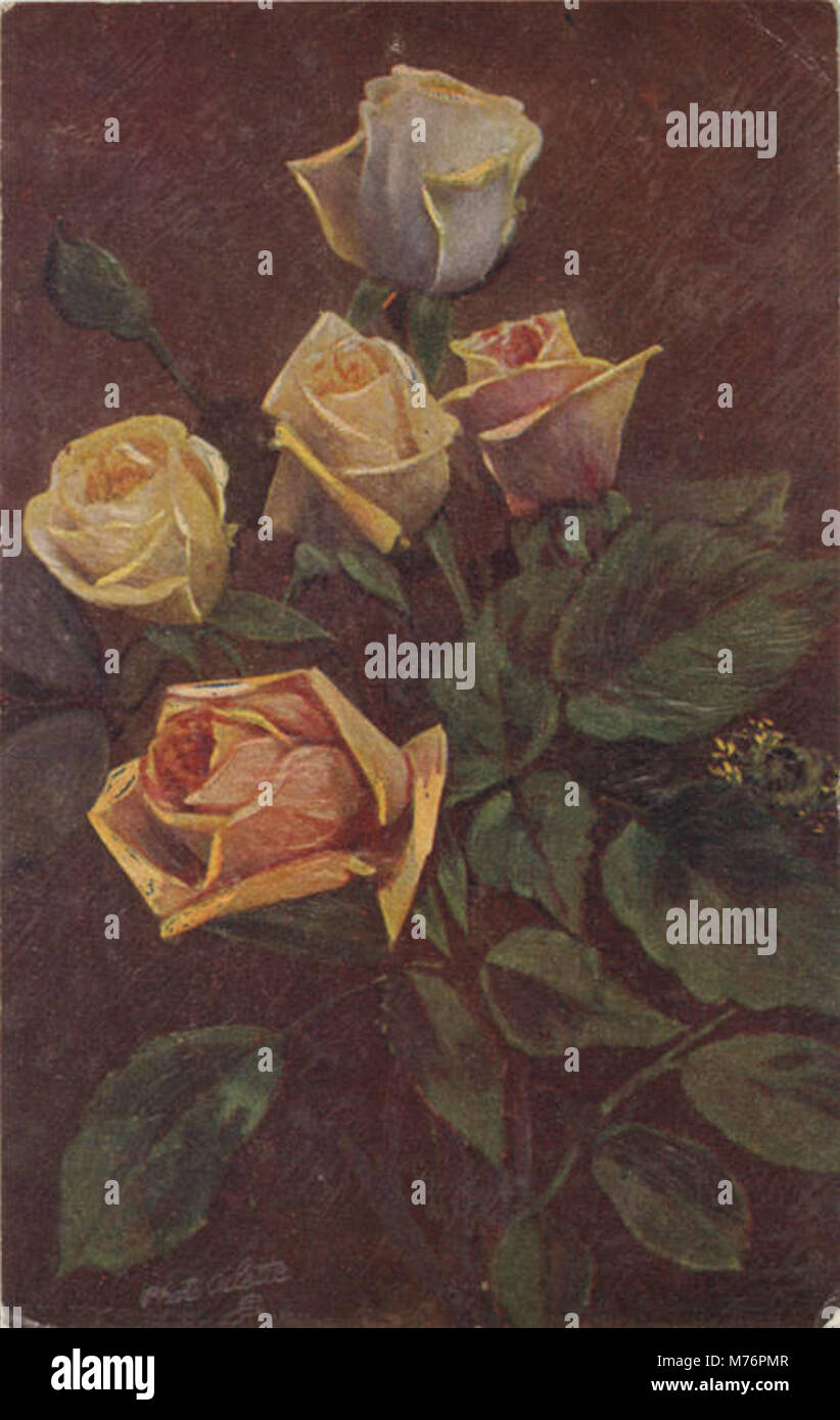 Delicate floral study featuring hi-res stock photography and images - Alamy