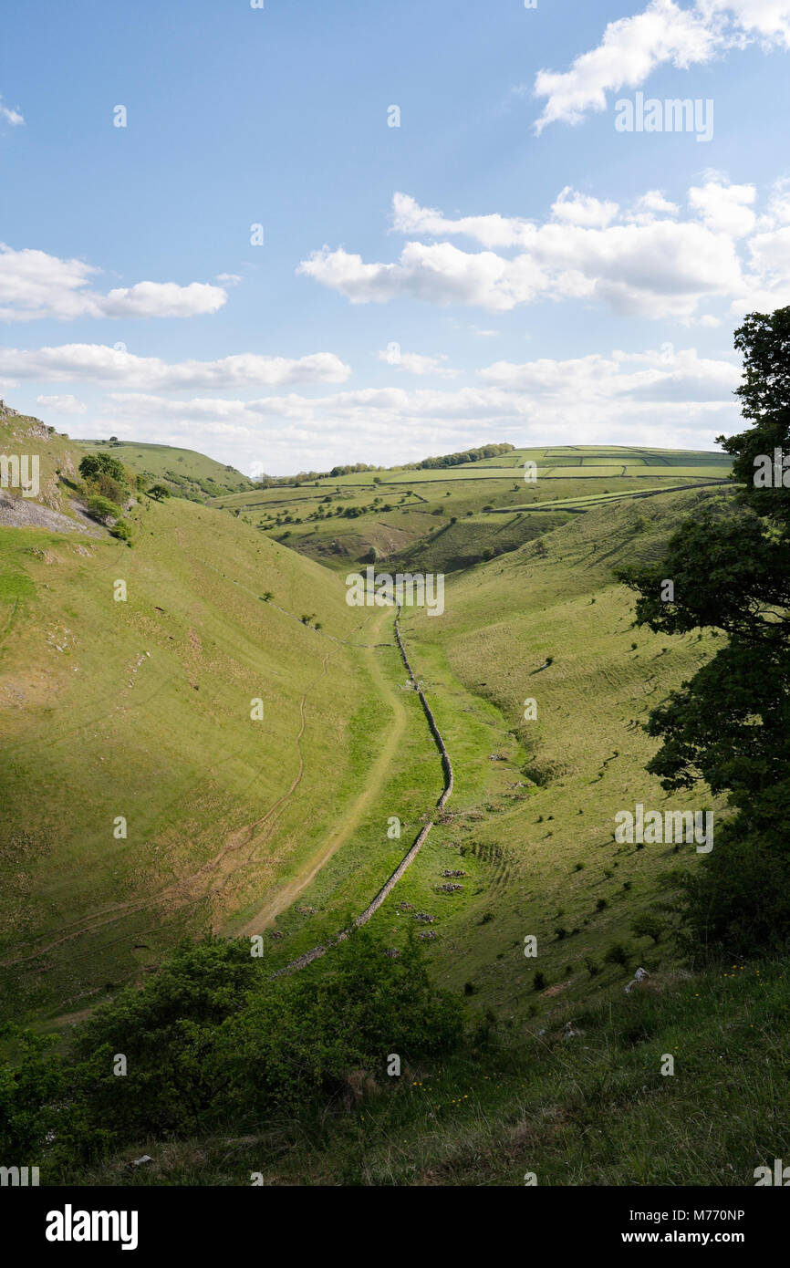 Cressbrook Dale in the Peak District countryside in Derbyshire, England UK, dry limestone valley Stock Photo