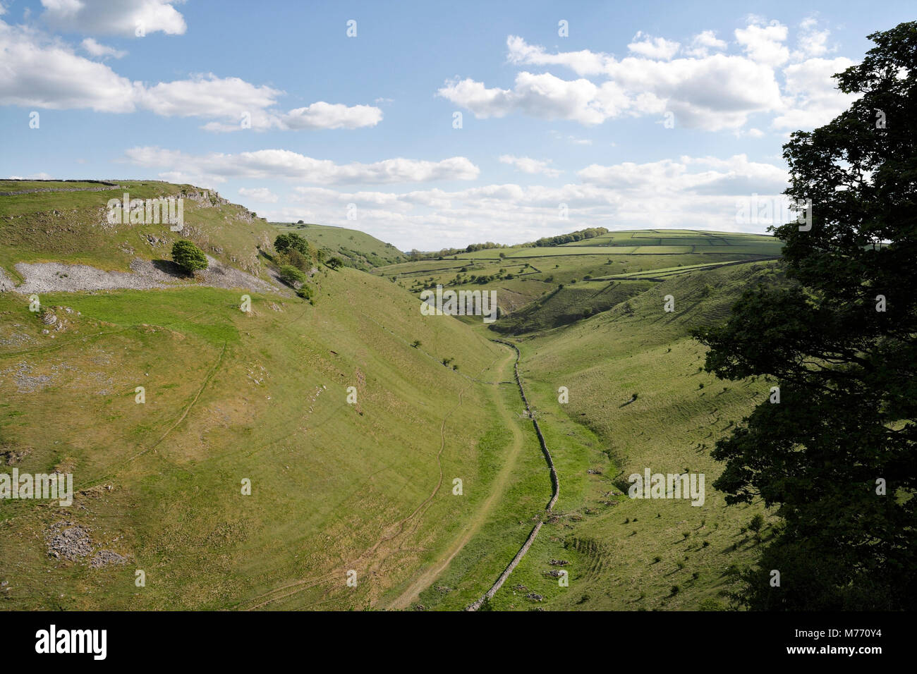 Cressbrook Dale in the Peak District national park countryside in Derbyshire, England UK, dry limestone valley landscape Stock Photo