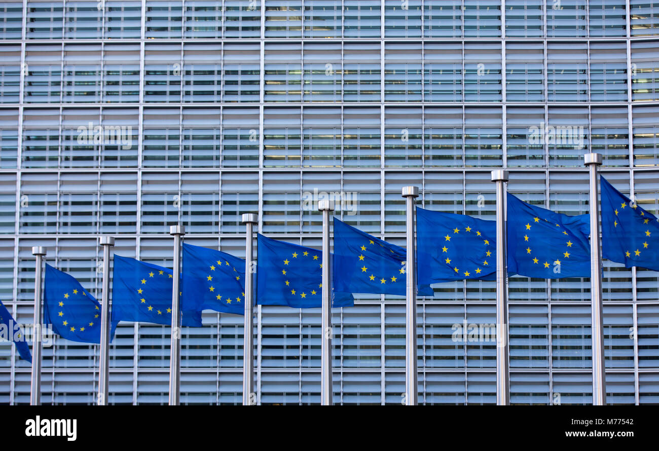 European flags in front of the building of the European Commission, Berlaymont building, Brussels, Belgium, Stock Photo