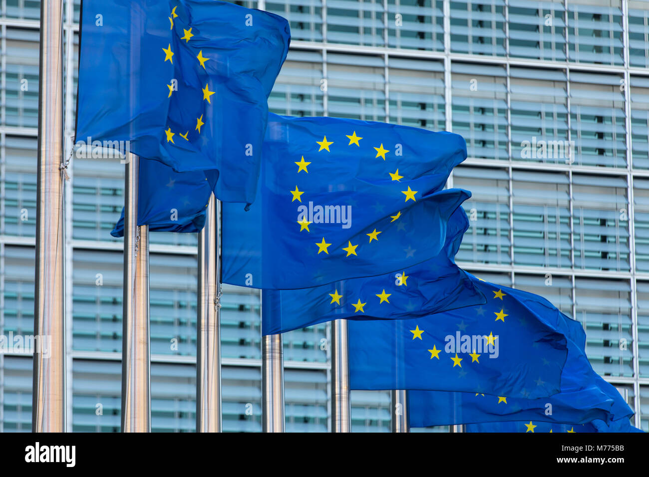 European flags in front of the building of the European Commission, Berlaymont building, Brussels, Belgium, Stock Photo