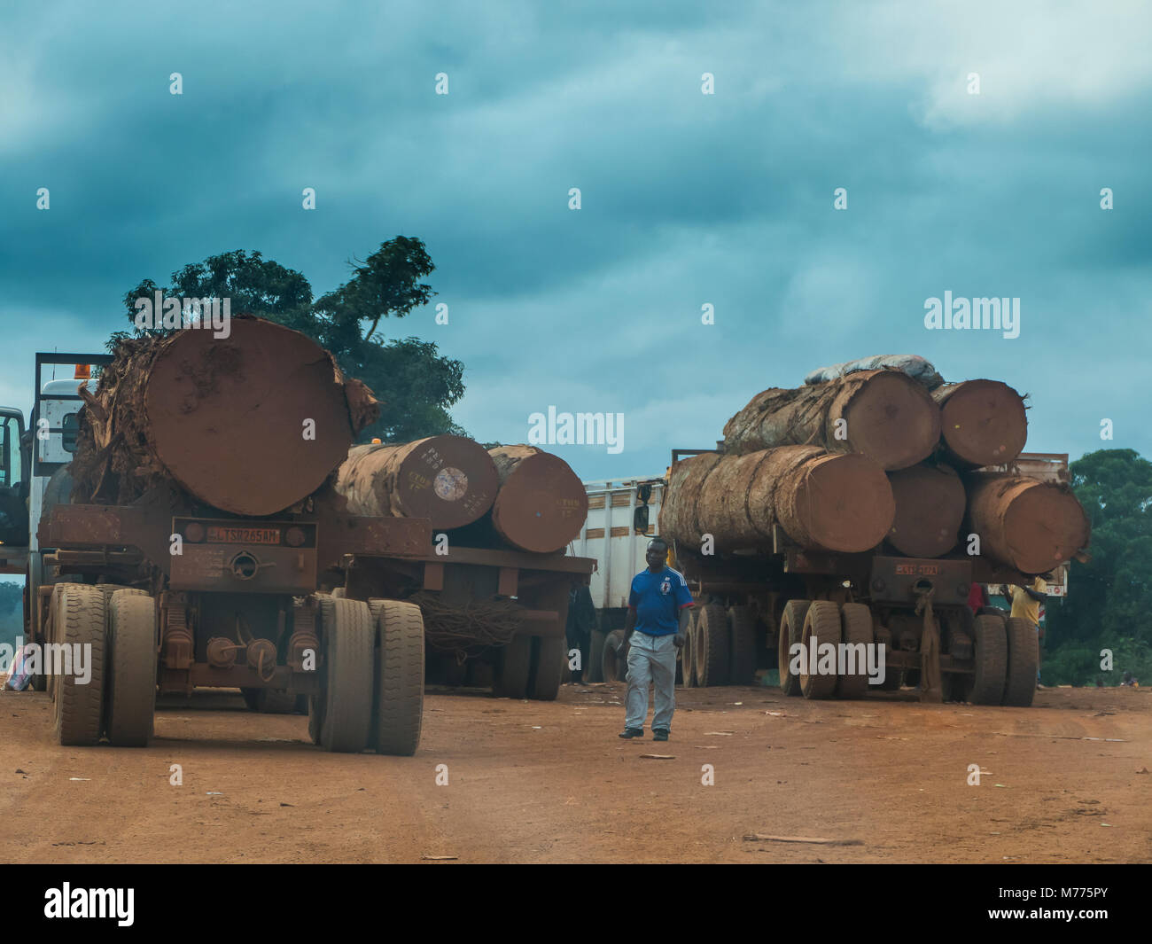 Logging trucks, deep in the jungle, Cameroon, Africa Stock Photo